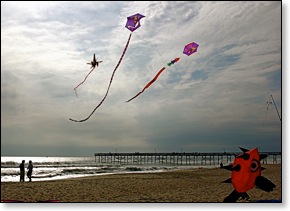 kitefestival